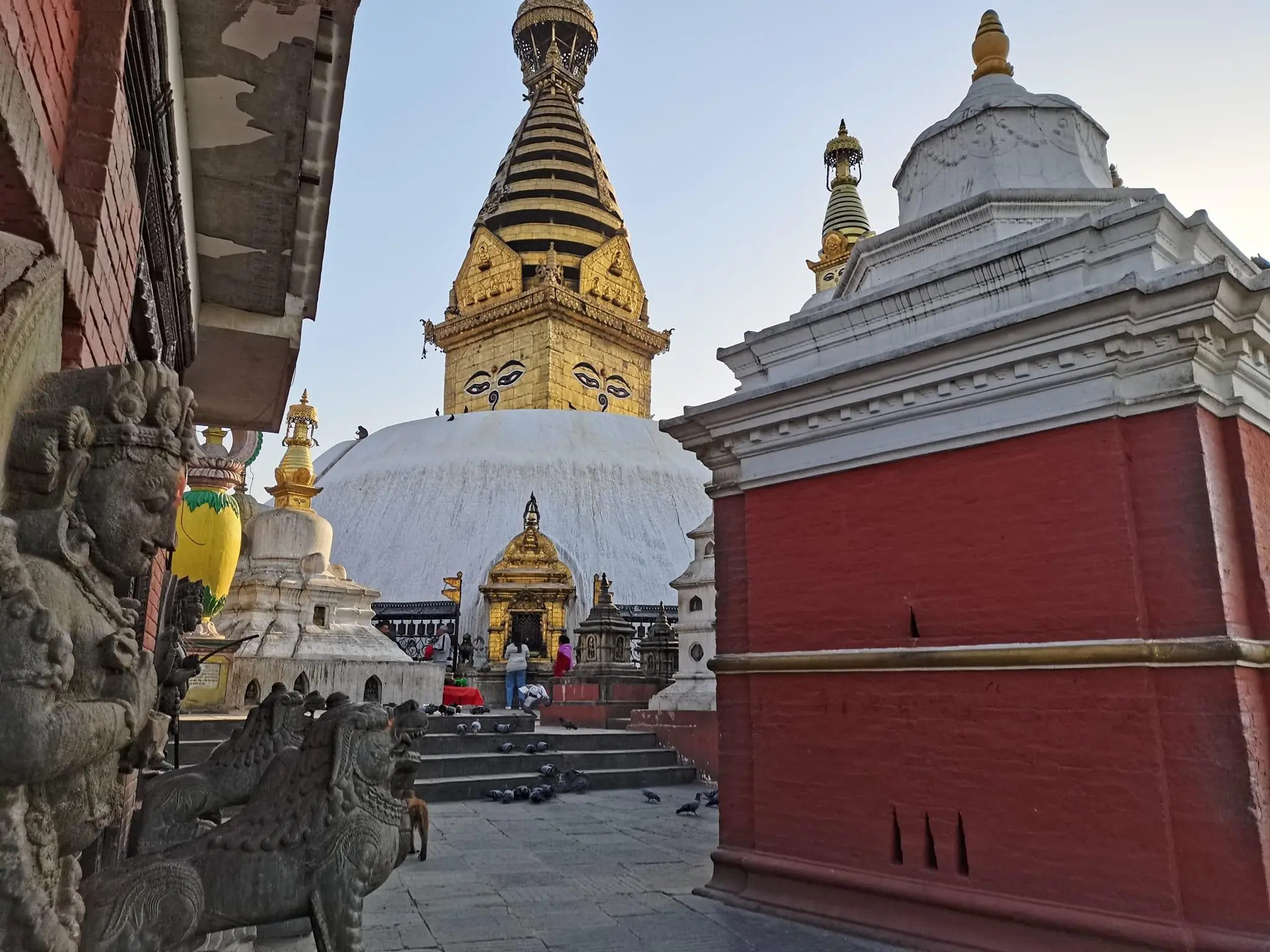 Guided City Tours